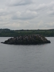 A view of Queensberry, Scotland. We took a small boat trip to an  island. You can't see them but this island was taken over by puffins.